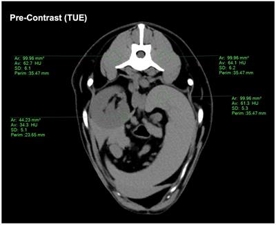 Virtual non-contrast images of detector-based spectral computed tomography in dogs: a promising alternative to true non-contrast images in veterinary medicine